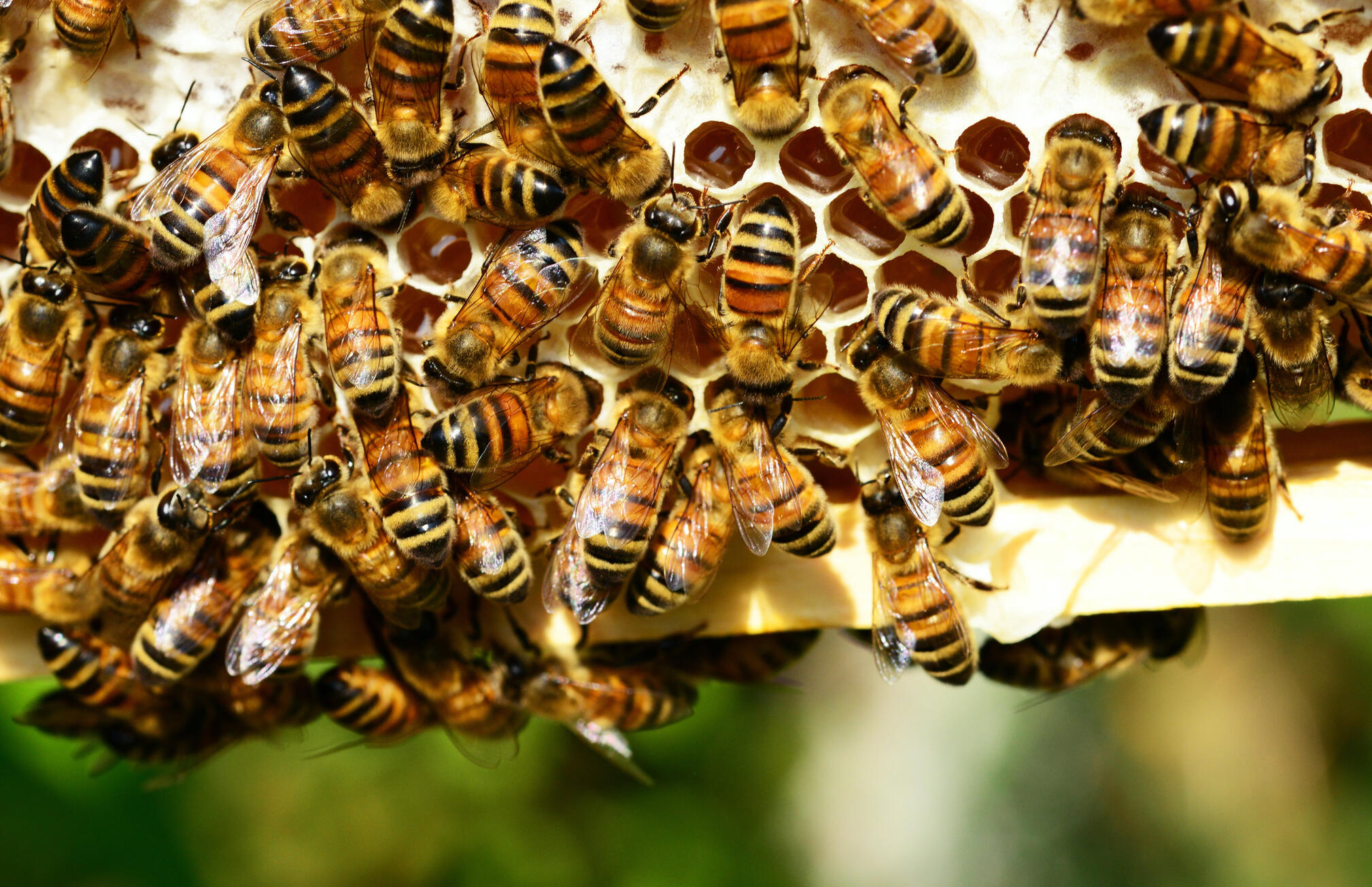 Karen's clients support the Earth on a micro and macro level