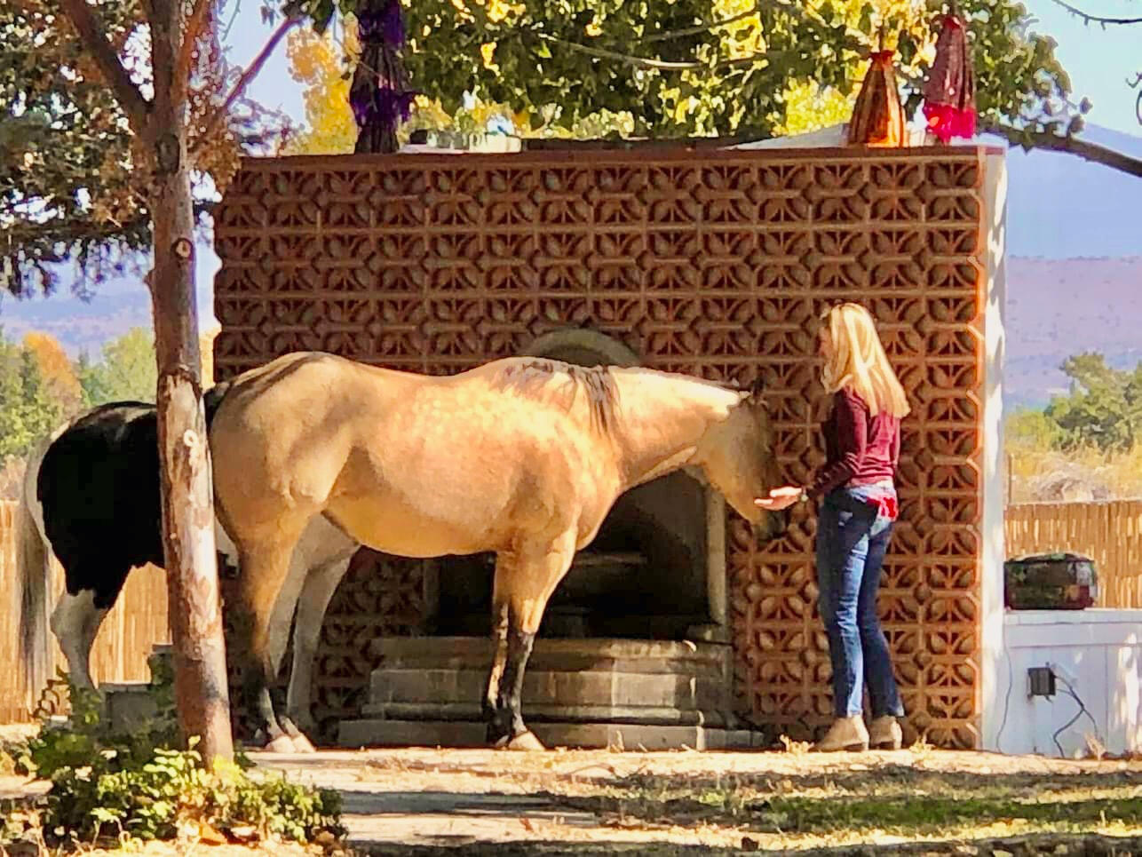 Woman with two horses